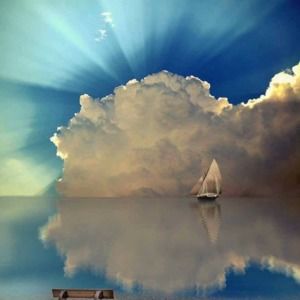 Meet your Posher, Shane